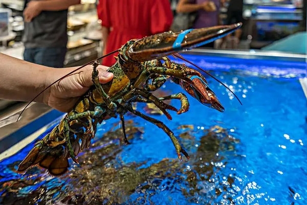海鲜水产彩铃宣传语范文精选